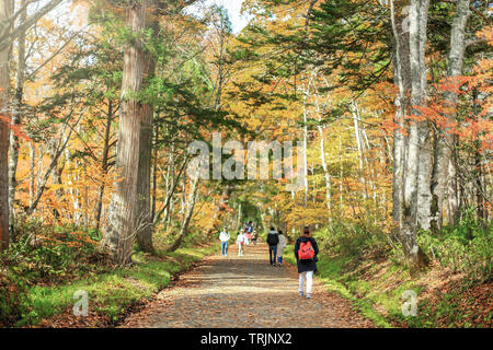 Einsamen Weg von Herbst Stockfoto