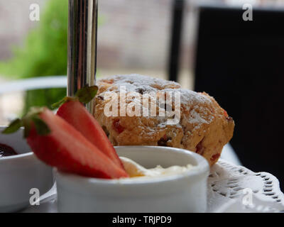 Nachmittagstee - Scones, Erdbeeren und Sahne in Porzellan Geschirr auf einem Kaffee stand-Sheffield, Großbritannien Stockfoto