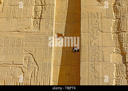 Wanddekorationen und Hieroglyphen der Götter Ra, Osiris und Horus im Tempel von Philae auf der Insel Agilkia in Lake Nasser, Ägypten Stockfoto