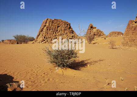 Die antiken Pyramiden von Meroe in der sudanesischen Wüste Stockfoto