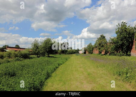 Sommer Landschaft mit Obstbäumen und Blumenwiesen wildlife in einem ummauerten Garten locken Stockfoto