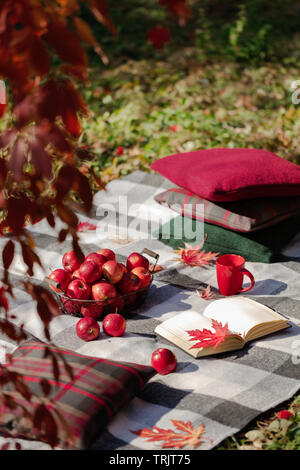 Herbst warme Tage. Indian Summer. Picknick im Garten - Decke und Kissen von Grau, Burgund und Grün Farbe auf dem Hintergrund der Blätter im Herbst. Sele Stockfoto