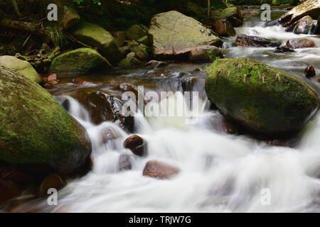 Wasserkaskaden einen Wald und Fluss. Wilde Wasser in Bewegung. Fotos mit langer Belichtungszeit, Erfassung der Schönheit in der Natur, vitalisierende Wald baden Thema. Stockfoto