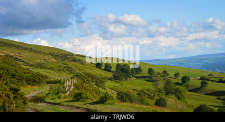 Walisische Landschaft Foto des Clwydian Hügel Strecke der Berge im Norden von Wales nach außen in Richtung der MOEL Famaua, Snowdon und Snowdonia suchen Stockfoto