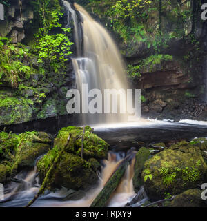Eine kleine, ungestört und unbewirtschaftet Wasserfall innerhalb einer Gesamtstruktur im County Donegal, Irland entfernt. Stockfoto