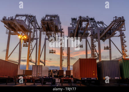 Shipping Container Krane und Lkws mit Sonnenuntergang Himmel im Hafen von Oakland. Stockfoto