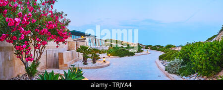 Der malerische Garten mit blühenden Sträuchern, Sukkulenten und grünen Sträuchern im Küstenbereich von Tigne Point Halbinsel, Sliema, Malta Stockfoto