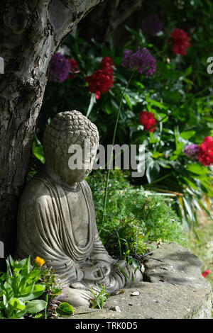 Buddha Gedanken unter den Baum. Stockfoto