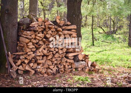 Split Holz, zwischen den Stämmen von zwei Bäumen zu trocknen außerhalb gestapelt, bei Blackhawk Memorial Park, Woodford, Wisconsin, USA Stockfoto