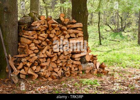 Split Holz, zwischen den Stämmen von zwei Bäumen zu trocknen außerhalb gestapelt, bei Blackhawk Memorial Park, Woodford, Wisconsin, USA Stockfoto