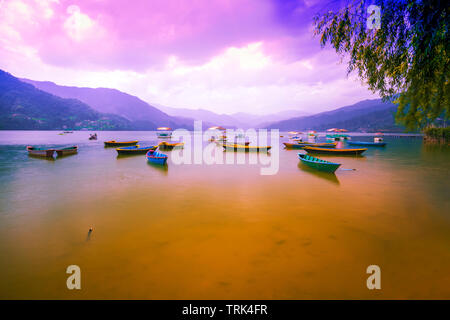 Schönen Phewa-see und bunte Boote. mit Sonnenuntergang Himmel. Blick von Phewa See Pokhara Nepal. Stockfoto