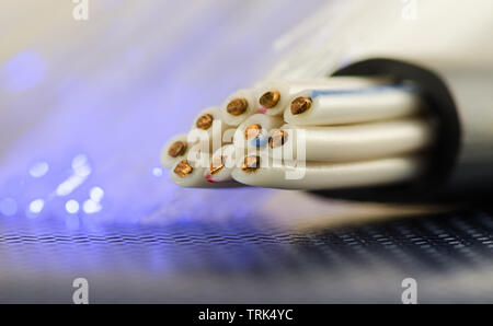 Der Querschnitt der Kabel, neben der Girlande ist Blau Stockfoto