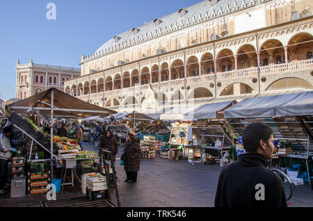 Blick auf die traditionelle Obstmarkt auf 'Delle Erbe" Platz, vor dem Palast 'della rsgione', Padua, Italien Stockfoto