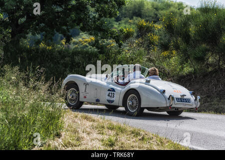 PESARO COLLE SAN BARTOLO, Italien, 17. Mai - 2018: Jaguar XK 120 OTS 1954 alten Rennwagen Rallye Mille Miglia 2018 die berühmte italienische historische Rennen Stockfoto