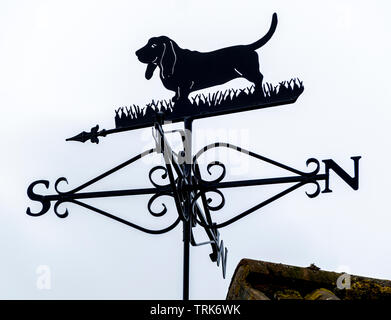 Ein schwarz lackiert, Metall Wetterfahne, bis zum Ende der ein Haus Dach befestigt, in die Silhouette Form eines Basset Hound Dog. Stockfoto