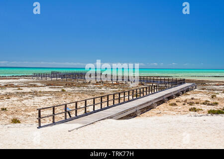 Boardwalk am Hamelin Pool marine Stromatolithen - Denham, WA, Australien Stockfoto