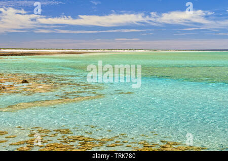 Wunderschönen blau-grünen seichten Wasser bei Hamelin Pool - Denham, WA, Australien Stockfoto