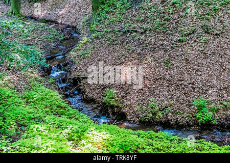 Bergbach im Laubwald, Kleine Karpaten, Slowakische Republik. Saisonale natürliche Szene. Stockfoto