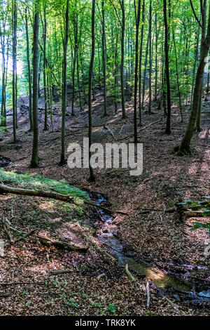 Bergbach im Laubwald, Kleine Karpaten, Slowakische Republik. Saisonale natürliche Szene. Stockfoto