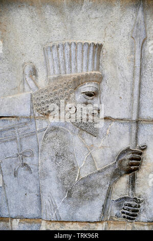 Reliefs an den Wänden der Apadana Palace. Persepolis, Shiraz - Iran Stockfoto