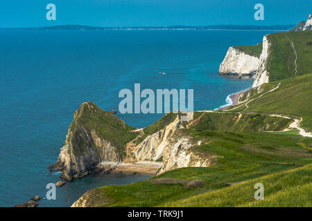 Die Küste von Dorset in der St. Oswald's Bay (oder Man O'War bay) Mit, gerade westlich von Lulworth. Weltkulturerbe. Dorset. England. UK. Stockfoto