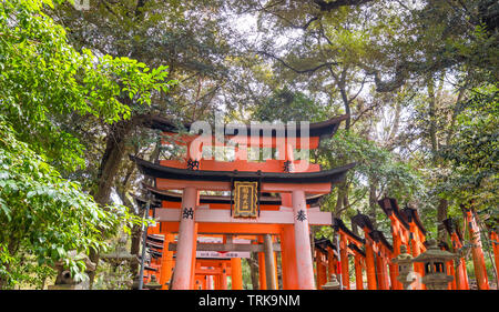 Kyoto, Japan - März. 22, 2019: Super und schön Senbon Torii in Fushimi Inari Taisha Shrine Temple, Reise Image im Frühling Stockfoto