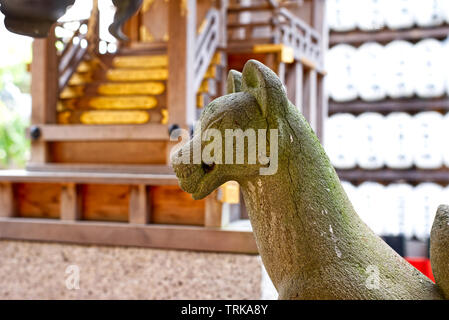 Eine steinerne Statue eines Fox im wani Ontakeyama Heiligtum in Otsu, Japan. Stockfoto