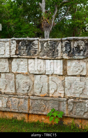 Plataforma de los Cráneos o Tzompantli. Yacimiento Arqueológico Maya de Chichén Itzá. Estado de Yucatán, Península de Yucatán, México, América Stockfoto