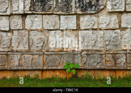 Plataforma de los Cráneos o Tzompantli. Yacimiento Arqueológico Maya de Chichén Itzá. Estado de Yucatán, Península de Yucatán, México, América Stockfoto