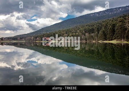 Holz- Haus am See im Wald im Nationalpark, Golcuk Bolu Bolu. Die Türkei. Stockfoto