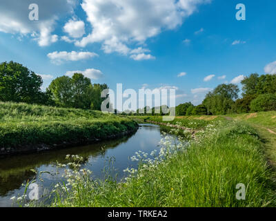 Blick auf den Fluss Mersey im Sommer, in der Nähe der Chorlton Water Park, Manchester, UK. Stockfoto