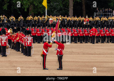 London, Großbritannien. 8. Juni 2019 die Farbe 2019, Geburtstag Parade der Königin auf horseguards Parade London in Anwesenheit Ihrer Majestät der Königin. Farbe TRABTEN durch die 1 Bataillon Grenadier Guards, die Farben der Fahne sind vor trooping Credit Ian Davidson/Alamy Leben Nachrichten übertragen. Stockfoto