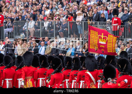 London, Großbritannien. 8. Juni 2019 die Farbe 2019, Geburtstag Parade der Königin auf horseguards Parade London in Anwesenheit Ihrer Majestät der Königin. Die Farbe wird von der 1. Bataillon Grenadier Guards Credit Ian Davidson/Alamy Leben Nachrichten trabten Stockfoto