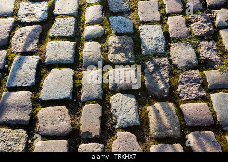 Alte Steinboden mit grünem Moos. Grobe Textur Hintergrund Stockfoto