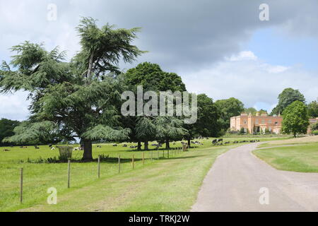 Auffahrt führt zu Killerton Immobilien, Exeter, Großbritannien Stockfoto