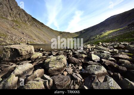 Ziegen Wasser und der Beginn der Torver Beck Stockfoto