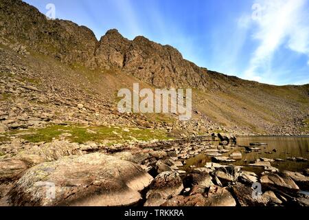 Ziegen Wasser und der Beginn der Torver Beck Stockfoto