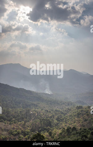 Berg bedeckt mit grünen Wald Bild wird im Echo Dorf kodaikanal zeigt die Natur genommen. Stockfoto