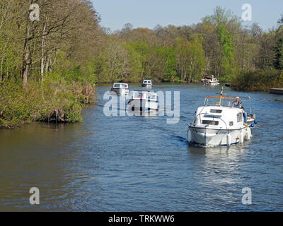 Motor Cruisers und Tag Boote geniessen Sie einen sonnigen Tag auf dem Fluss in der Nähe von Bure Wroxham auf der Norfolk Broads. Stockfoto