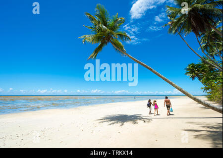 Die Zahlen gehen unter einer Palme, lehnte sich über einen weiten leeren Strand auf einer tropischen Insel in Bahia, Brasilien Stockfoto