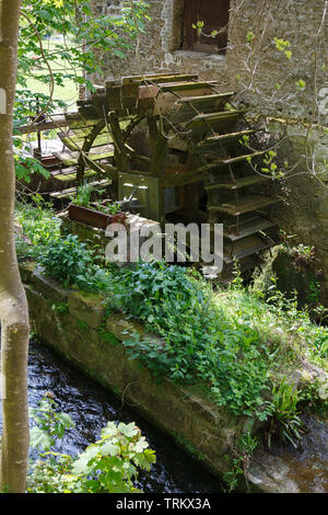 Mühlrad auf dem Fluss Veules in Veules-les-Roses, Normandie, Frankreich, Europa. Foto V.D. Stockfoto