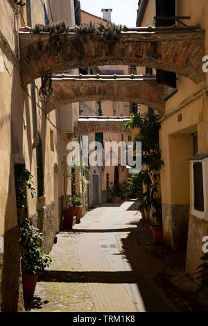 Albenga Altstadt street view mit Bögen und Pflanzen, Ligurien, Italien. Stockfoto