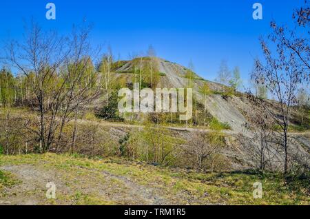 Steinkohlenbergbau in Polen. Mine Heap im Frühjahr Landschaft. Stockfoto