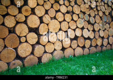 Brennholz gestapelt und für den Winter vorbereitet. Stapel von Rundholz. Gehackte Brennholz auf einem Stapel. Natürliche Holz- Hintergrund, Nahaufnahme der gehackten Brennholz. Stockfoto