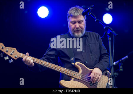 Glasgow, Schottland, Großbritannien. 8. Juni 2019. Tauben live spielen zum ersten Mal in 9 Jahren in Glasgow, UK. Credit: Stuart Westwood Stockfoto