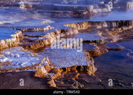 Wasser fließt über die Hitze blühende mikrobielles Leben auf den Terrassen bei Mammoth Hot Springs im Yellowstone National Park. Stockfoto