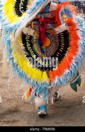 Nahaufnahme eines Orange, Gelb, Blau und Weiße Feder und bunte Feder Raupe Hektik getragen durch eine Native American Fancy Tänzer bei einem Pow Wow. Stockfoto