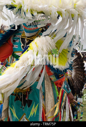 Nahaufnahme der gefiederten Kopfschmuck, arm Schilde und traditionellen gesäumten Kleidungsstück getragen durch eine Native American Fancy Tänzer bei einem Pow Wow. Stockfoto