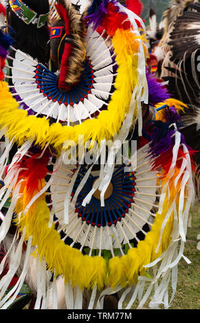 Nahaufnahme von gelben und weißen Federkopfschmuck Treiben mit weißen und blauen Federn von einem fancy Dancer getragen auf einem indianischen Pow Wow. Stockfoto