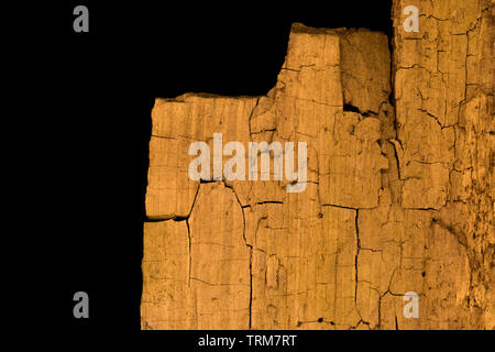 Wurm gegessen trockene Baumrinde auf schwarzen Hintergrund mit Kopie Raum Stockfoto